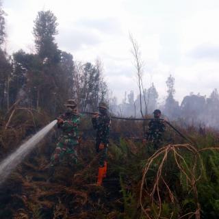 Kodam XIX/Tuanku Tambusai Jaga Penanganan Karhutla Bengkalis, Pendinginan Berlanjut di Lahan Gambut